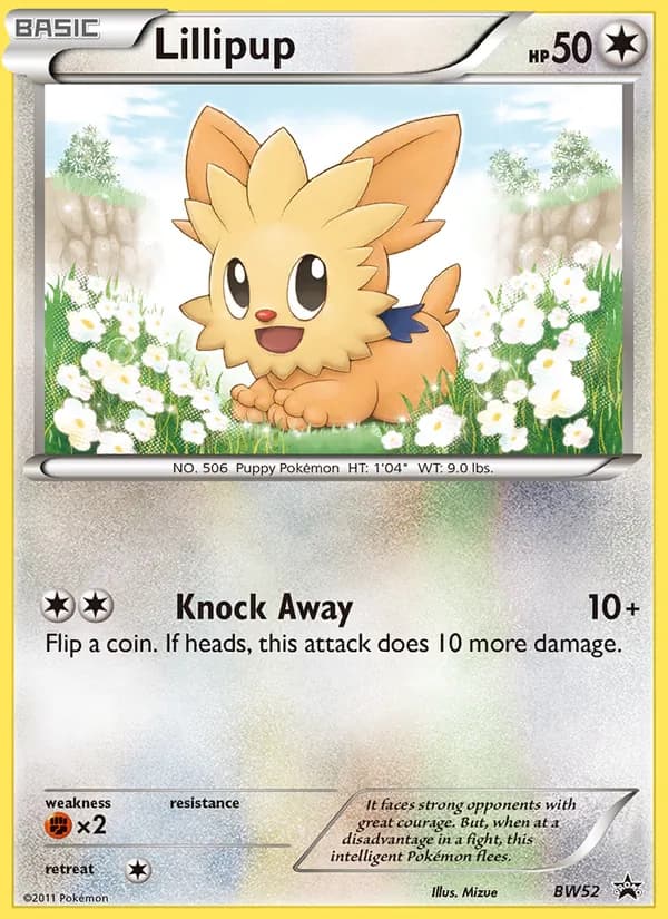 Lillipup card image