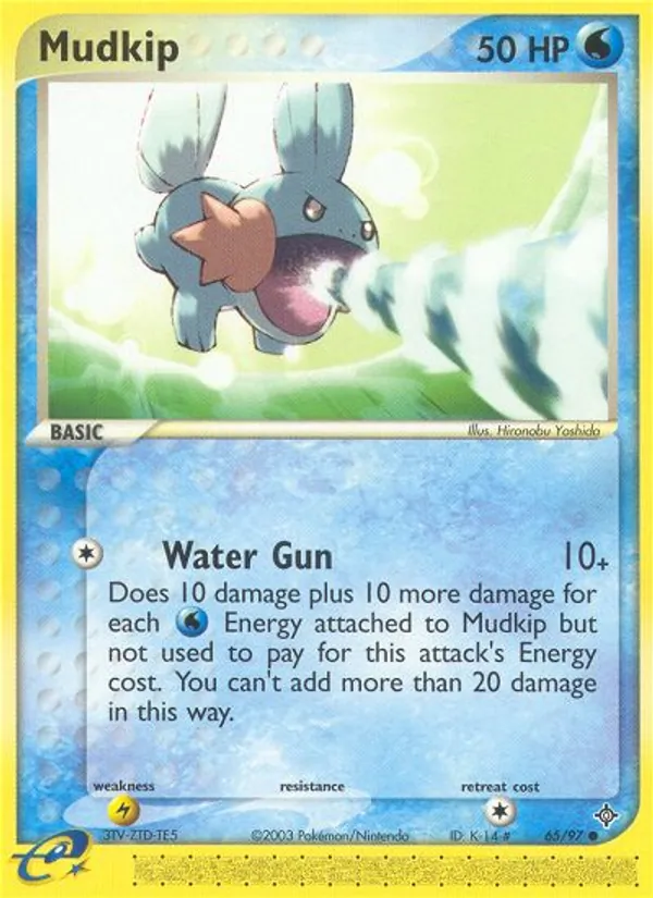 Mudkip card image