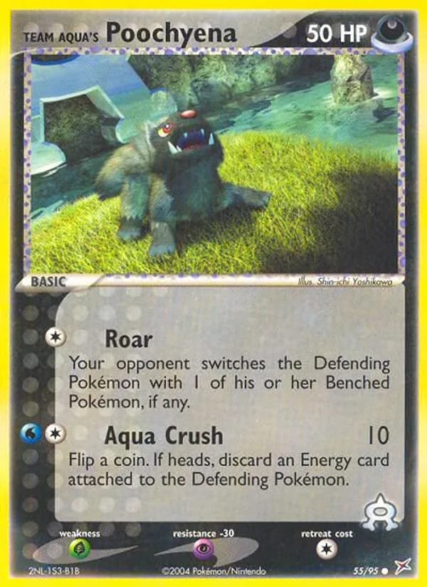 Team Aqua's Poochyena card image