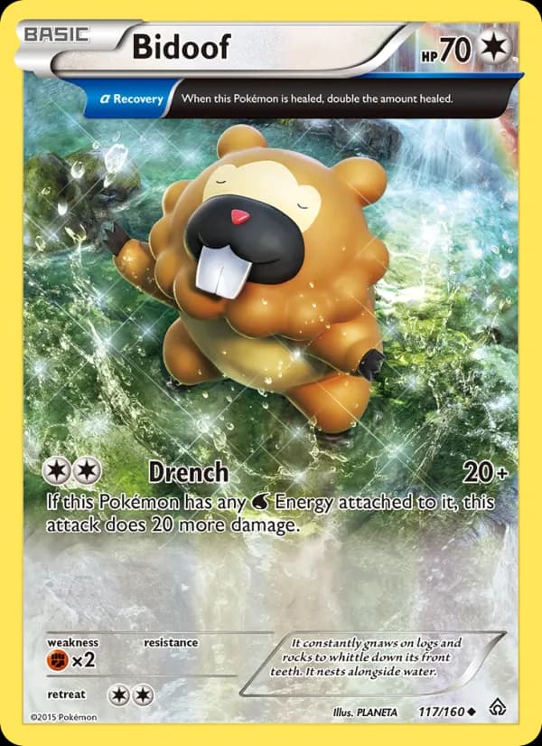 Bidoof card image